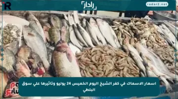 أسعار الأسماك في كفر الشيخ اليوم الخميس 24 يوليو وتأثيرها على سوق البلطي